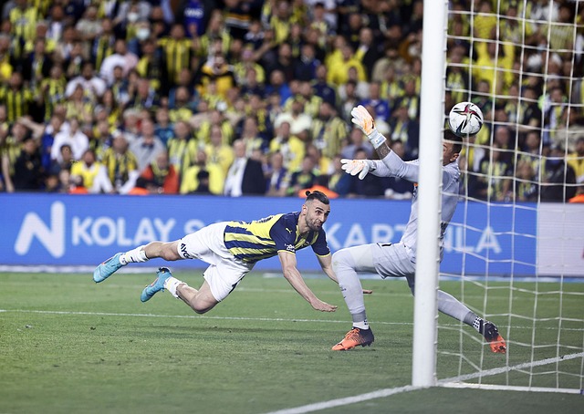 的积极态度 的积极态度