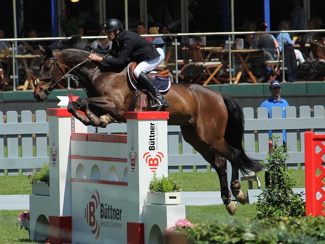 通过对近年 通过对近年