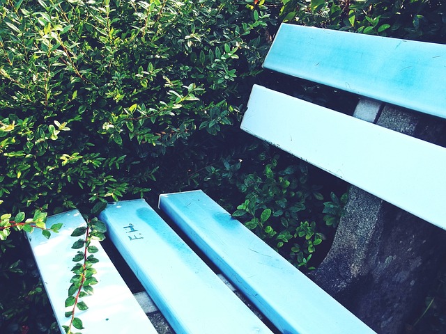 她用泳池中 她用泳池中