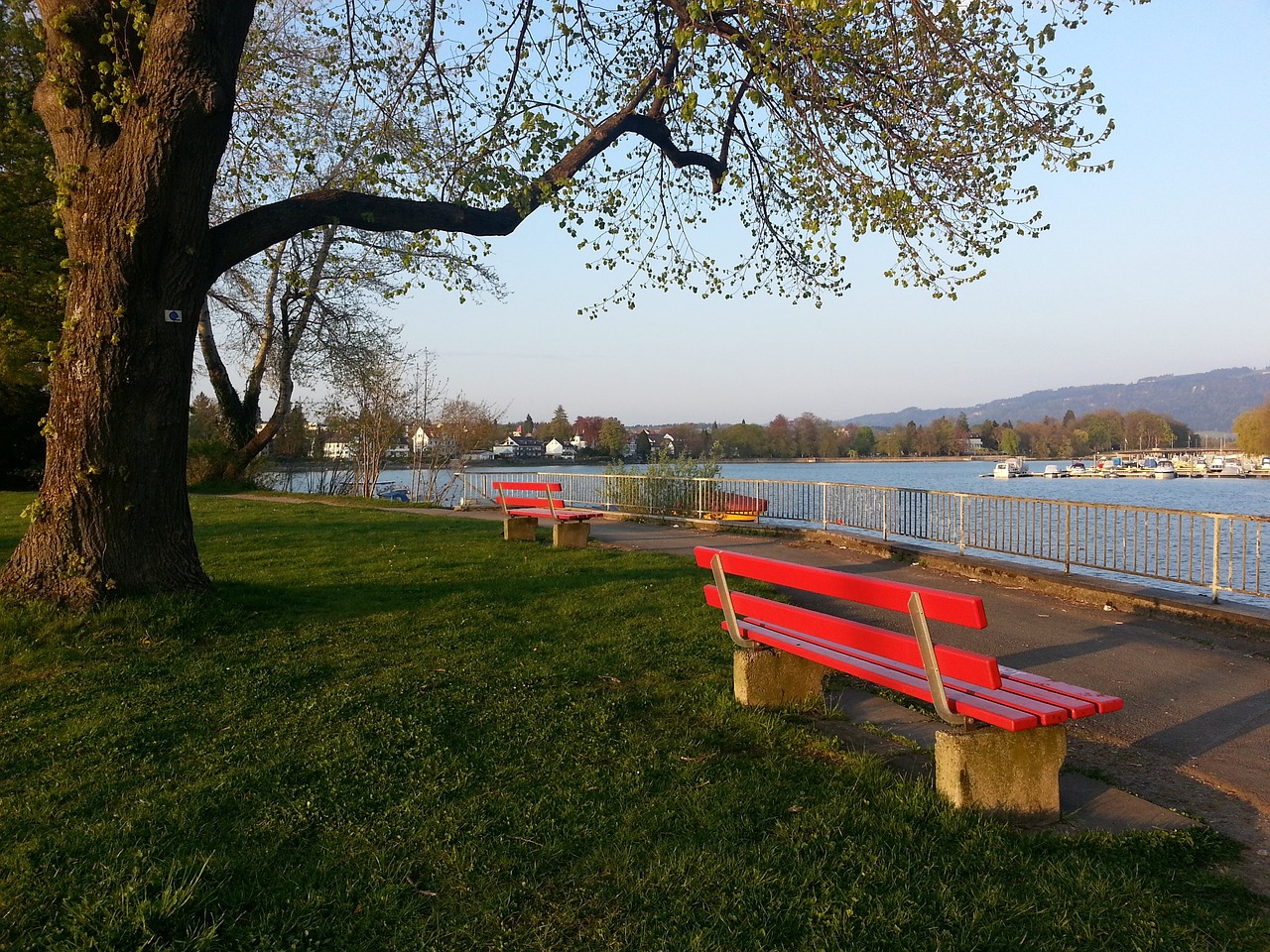 这段光辉历 这段光辉历