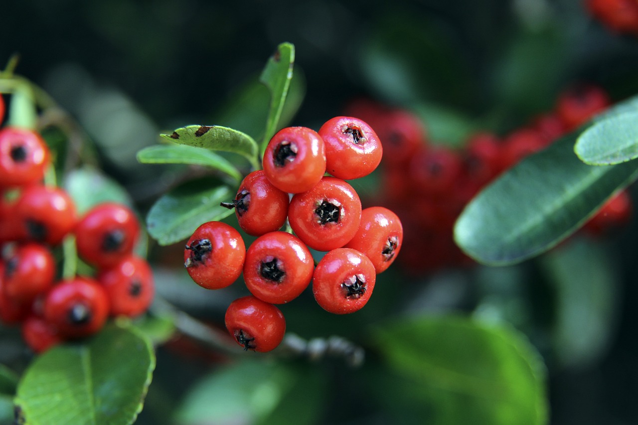 呐喊助威 呐喊助威