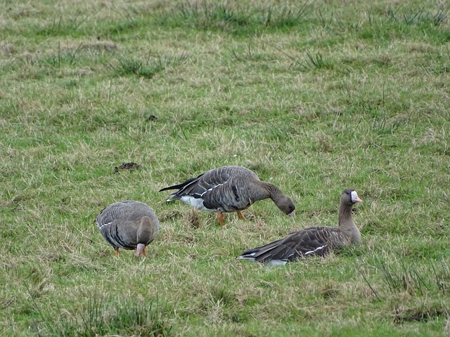 业的核心成 业的核心成
